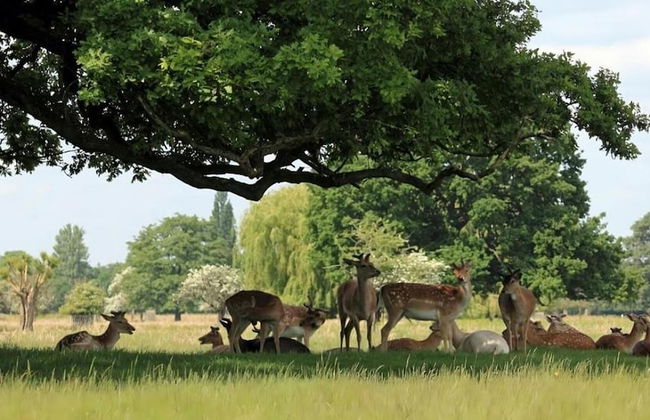 Charming 1-bed Studio Annex,parking,kitchen,wifi - Foto 19