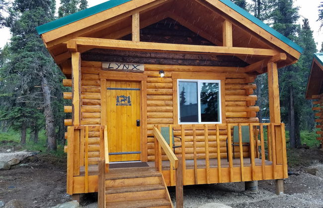 Denali Tri-Valley Cabins - Foto 39