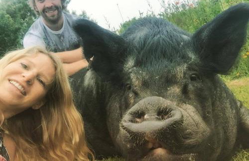 Jurassic Loft Apartment - Foto 16