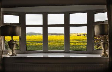 The Willows - Photo 25