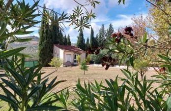 Casita Cacahuete - Foto 14