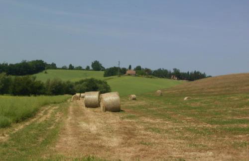 Villa Poggio al Sole Bio Agriturismo private pool - Foto 52
