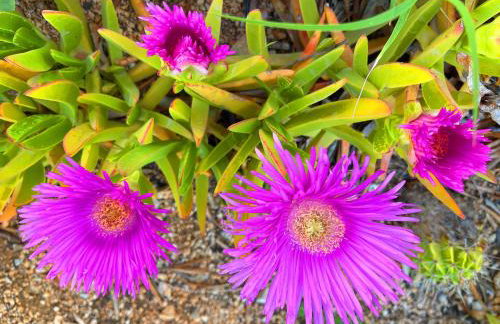 Villa Olivija-direkt am Strand! - Photo 49