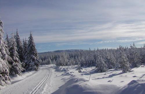 Ferienwohnung Petzold - Foto 21