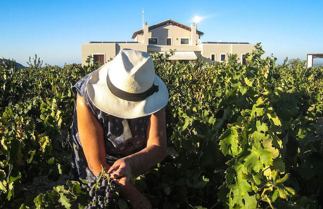 Luxurious Panoramic View Villa - Foto 48