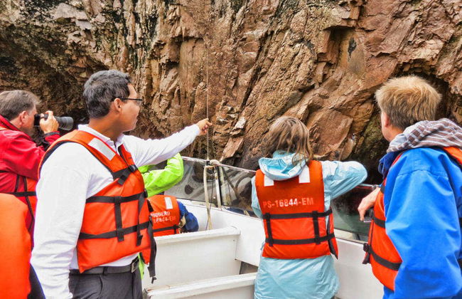 Ballestas Islands Tour - Foto 3