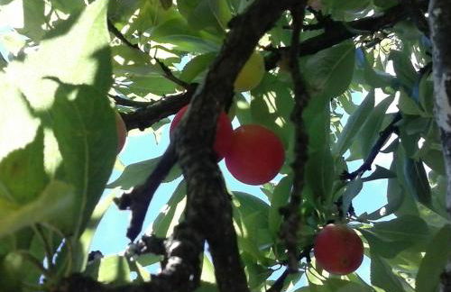 Casa Fátima Valle Gran Rey - Foto 12