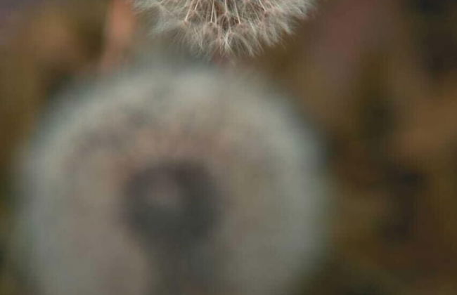 Domos Andinos HostCamp - Photo 51