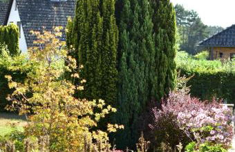 Ferienhaus Heideidyll - Foto 25