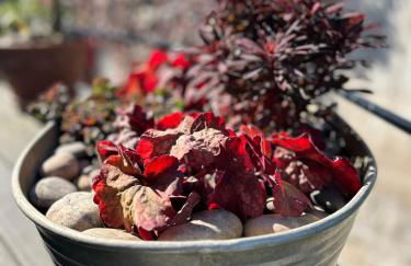 Schwalbenwohnung - Foto 23