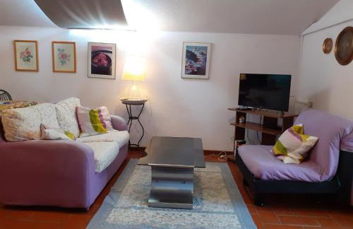 Agriturismo Podere Zollaio - Foto 54