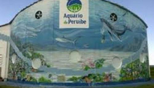 CASA PRAIA PERUÍBE PISCINA - Foto 5