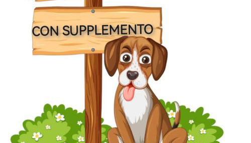 Dimora Visconti - Foto 4