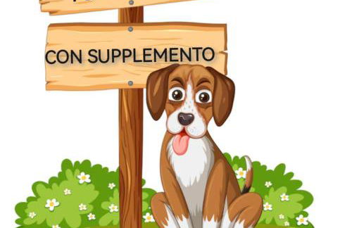 Dimora Visconti - Foto 4