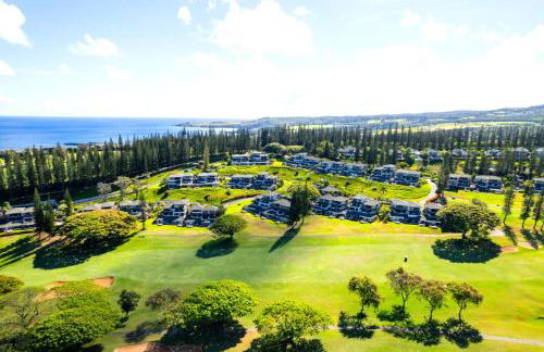 Kapalua Golf Villas 2 Free cars KBM Resorts Large Bedrooms 2 Units 3 Bedrooms ML-2189 - Foto 44