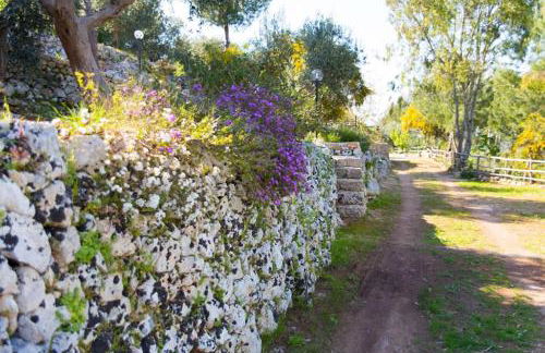 Residencefusaro pajare Specchia - Foto 3