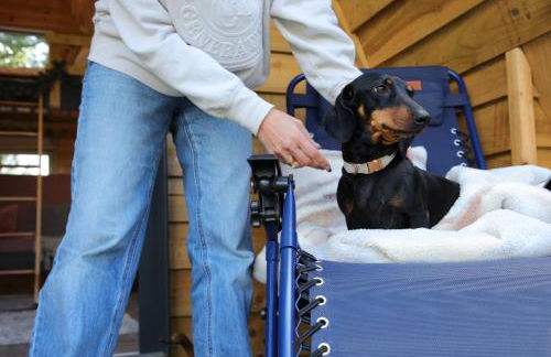 Sycamore Lodge with Hot Tub- Quirky & Romantic - Foto 54