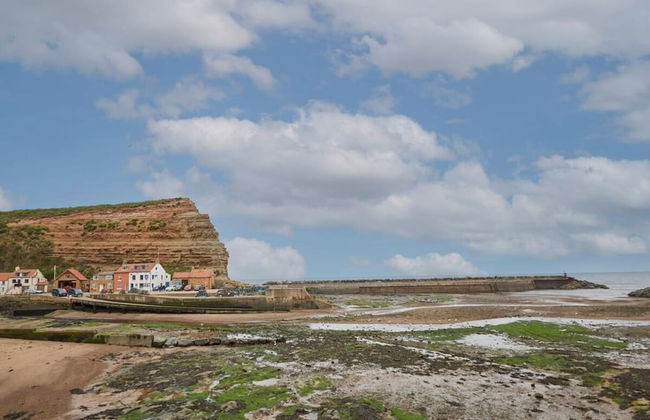 Host Stay Hampdon Cottage - Foto 19