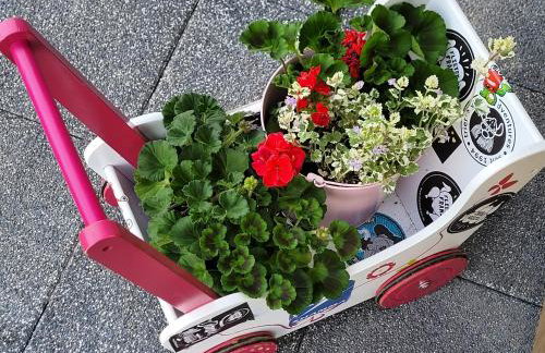 Apartament Nina - Foto 32