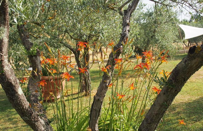 I Parigi Corbinelli - Foto 40