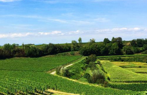 Ferien- Und Winzerhof Simon - Photo 2