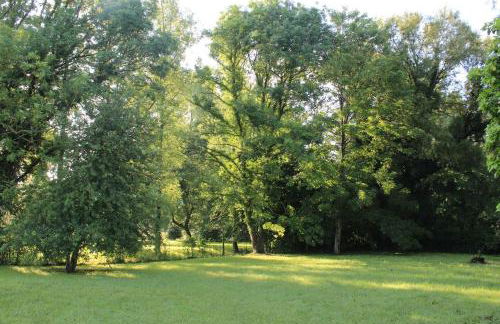 Les Bleuets - Foto 11