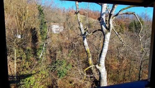 La Balotta Sport-Natura-Relax - Foto 5