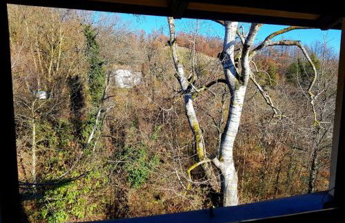 La Balotta Sport-Natura-Relax - Foto 5