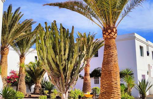 Flor de Las Dunas all day sunny, pools, tennis - Photo 19