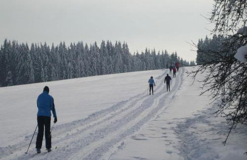 Wohnung in Sonnen nahe Skiliften - Foto 39