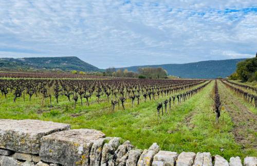 Domaine de Saxe-Roux, 2 Bed Cottage, Sauve - Photo 39