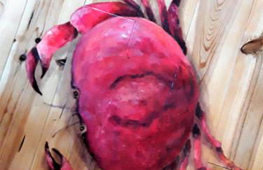 L'écurie Kerdoel - Foto 32