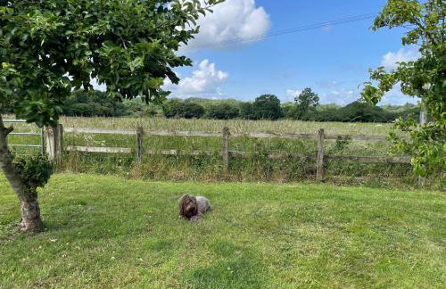 Swallows Retreat - Foto 7