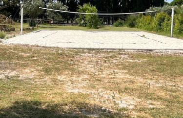 Casa Pinheiro - Foto 28