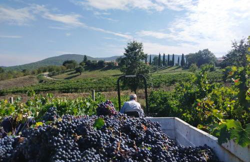 Agriturismo La Bulletta - Foto 77