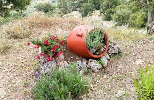 Dictamus Homes - Foto 37