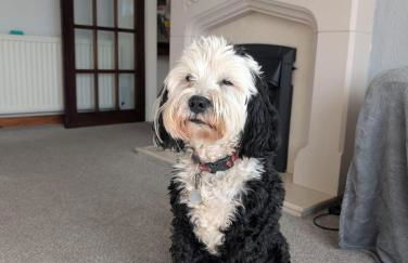 Kents Bank Holiday - Pet Friendly with Bay Views - Foto 70