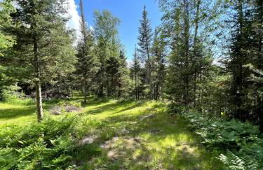 Peaceful Lake Front A-Frame in Ely - Foto 40