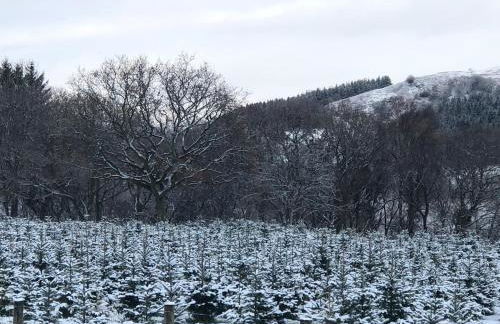 Detached cottage in the hills near Dolgellau - Foto 21