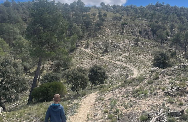 Casa Rural Ubeda - Full House - Casa Completa - Foto 62