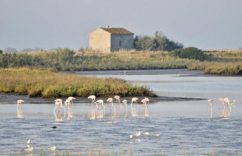 Beautiful Home In Taglio Di Po Ro - Foto 29