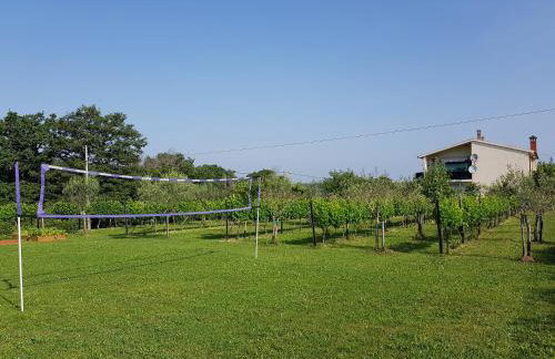 Villa Ivana - Photo 29