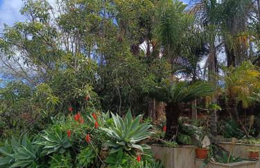 Villa Ilusión - Foto 33