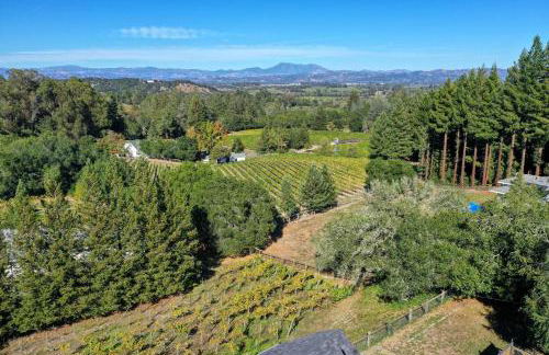 Moore Family Farmhouse - Wine Tastings Included - Foto 31