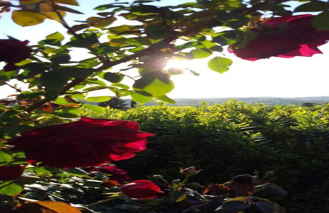 Farmhouse in Vinci With Pool and Tuscan Views - Foto 39