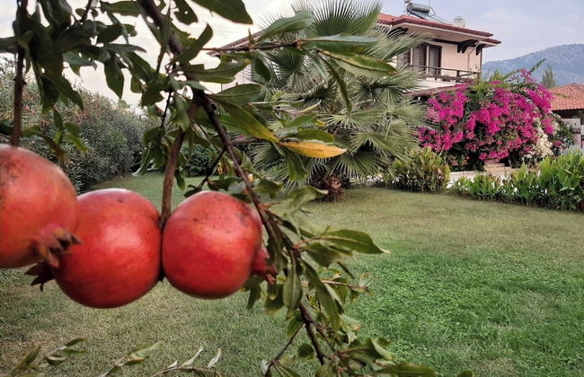 Beautiful 4-bed Villa Private Pools - Foto 33