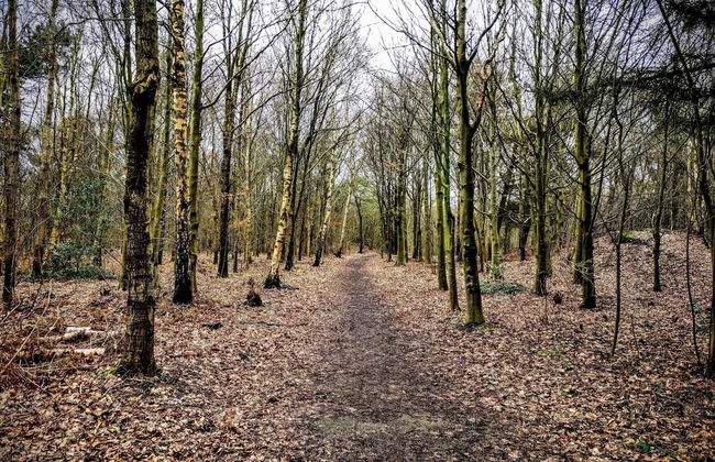 5 Person Holiday Home in Esbjerg V-by Traum - Foto 6