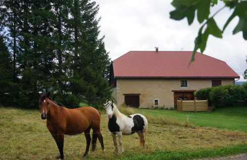 Le Bois gentil - Foto 6