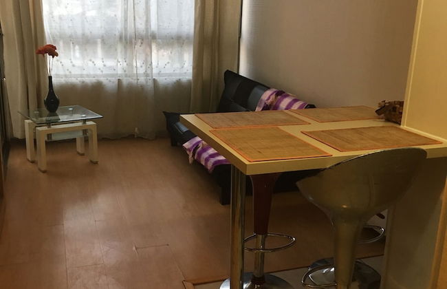 Santa Rosa Apartment, Santiago Downtown - Photo 12