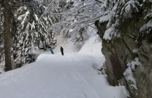 Chalet Refuge Loup Blanc Valfréjus - Foto 33